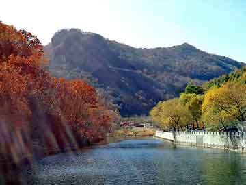 新澳天天开奖资料大全旅游团，龙海seo快速排名软件